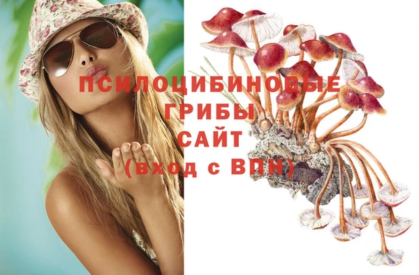 твердый Алексеевка