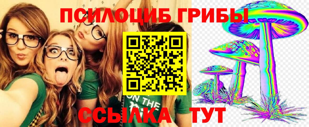 Галлюциногенные грибы Psilocybine cubensis  где купить   Псилоцибиновые грибы Magic Shrooms  Лиски  Вход с VPN 