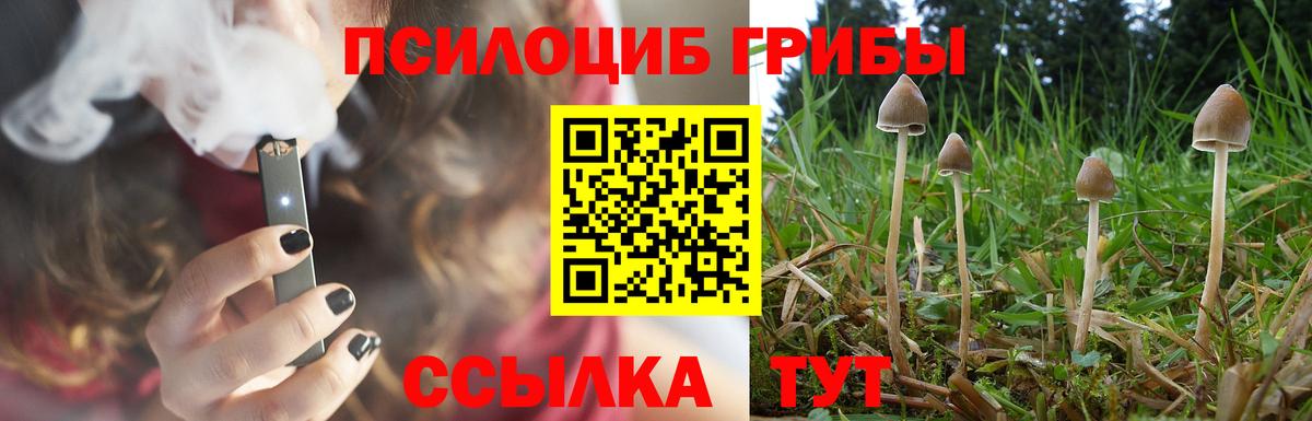 Псилоцибиновые грибы мицелий Лиски